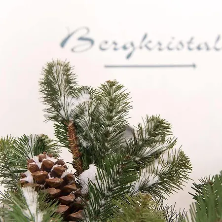 Haus Bergkristall Гостевой дом 3*